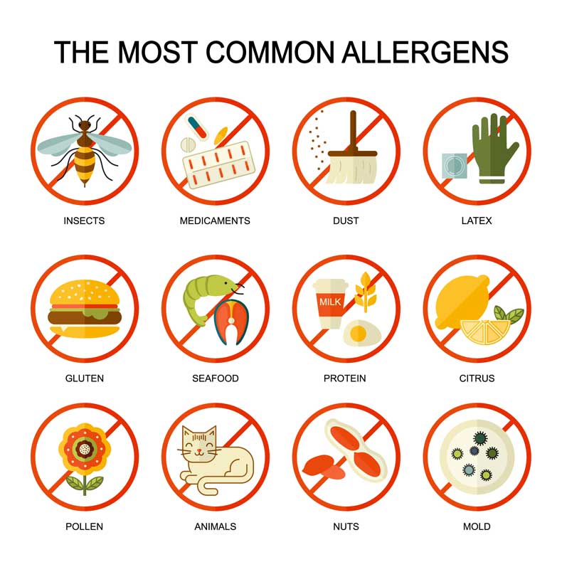 アレルギー一覧