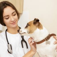 Bear もたらす 耐える 産む 熊 の意味と使い方 ネイティブと英語について話したこと