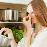 Invade Invasive Invasionの意味と使い方 ネイティブと英語について話したこと