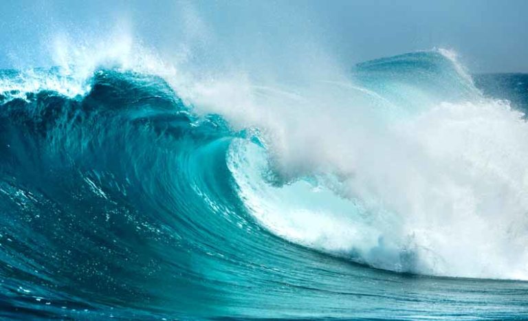 wave(波・手を振る)の意味と使い方 | ネイティブと英語について話したこと