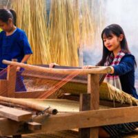 Success Succeed Succession Successfulの違い ネイティブと英語について話したこと