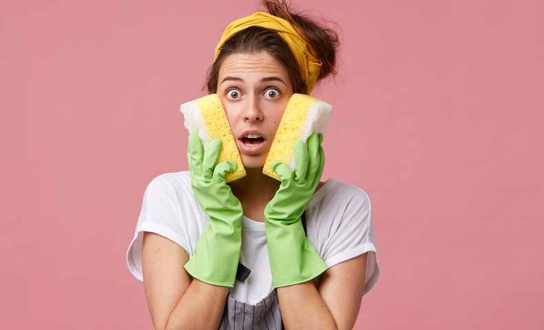 Absorb 吸収する の意味と使い方 ネイティブと英語について話したこと